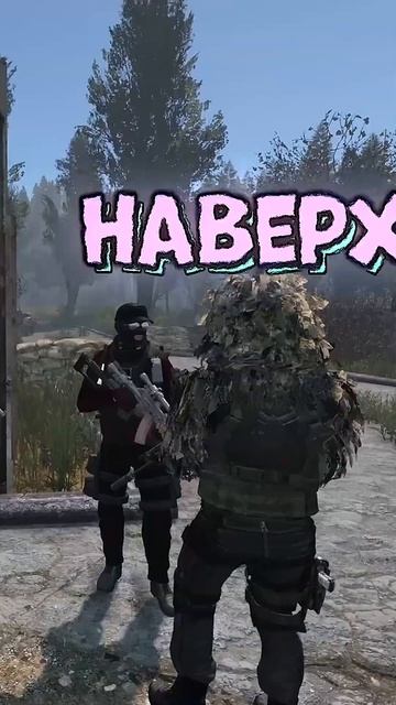 Альфа Наёмники в #dayz #stalkerrp