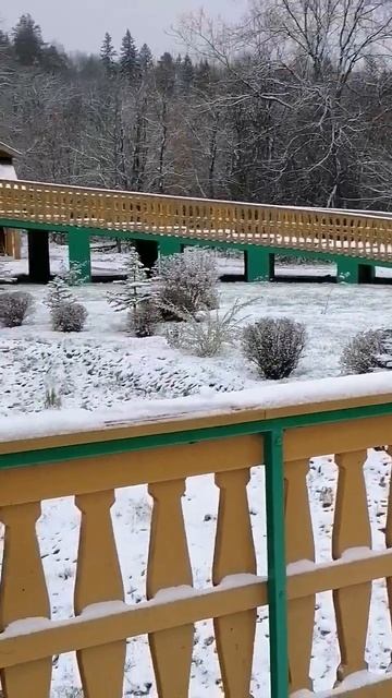 Источник Серафима Саровского зимой ❄️📸 #красивые ме смотреть онлайн