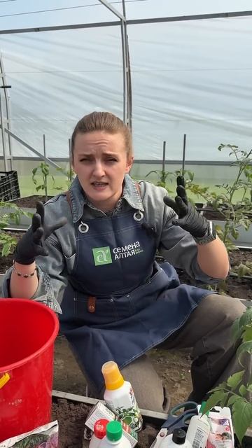 ЧТОБЫ НЕ БЫЛО ВЕРШИННОЙ ГНИЛИ смотреть онлайн