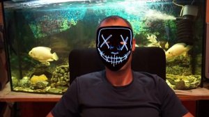 Канцелярская крыса. Большой передел 13 серия - Полный анонс