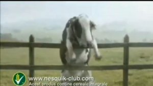 готовый завтрак nesquik делает молоко ещё более шоколадн?