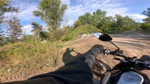 Ducati scrambler 800, лес, песок, всякое :)