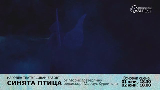 "СИНЯТА ПТИЦА" - МТФ "Варненско лято" 2016 смотреть онлайн
