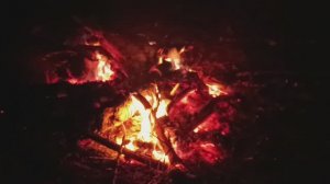 Ночной костёр. Сергей Чекалин. Night bonfire. Sergey Chekalin.