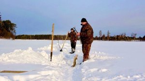 ЛОВЛЯ НАЛИМА НА УДЫ. ВЕЗЁМ ВАЛЕЖНИК НА СНЕГОХОДАХ.