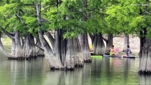 Кипарисовое озеро в Анапе