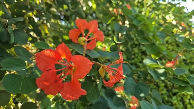 Чтобы отомстить бывшей жене, муж продал квартиру. Но к? смотреть онлайн