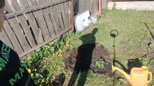 С утра ходим босиком по траве и сажаем кустарник 🌳 Случайный прохожий в аптеке 🐕 смотреть онлайн