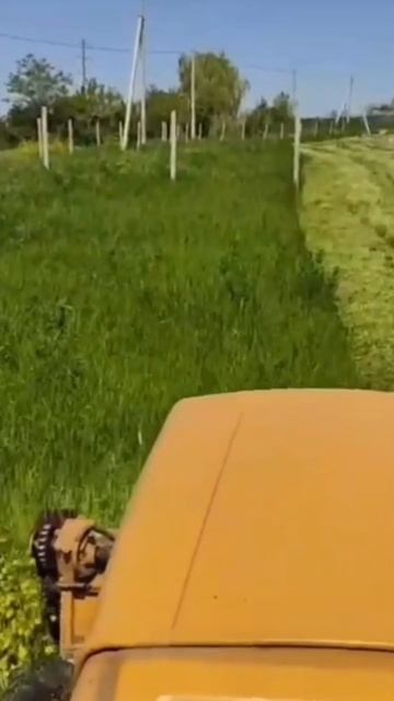 Минитрактор кентавр на мульчирование травы смотреть онлайн