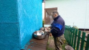 Сазан горячего копчения в шарабане