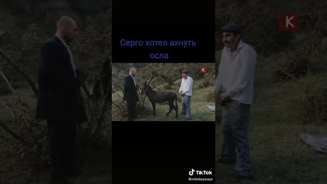Каха и Серго прикол смотреть онлайн