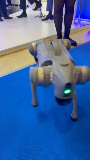 Робопес, робособака в реально жизни