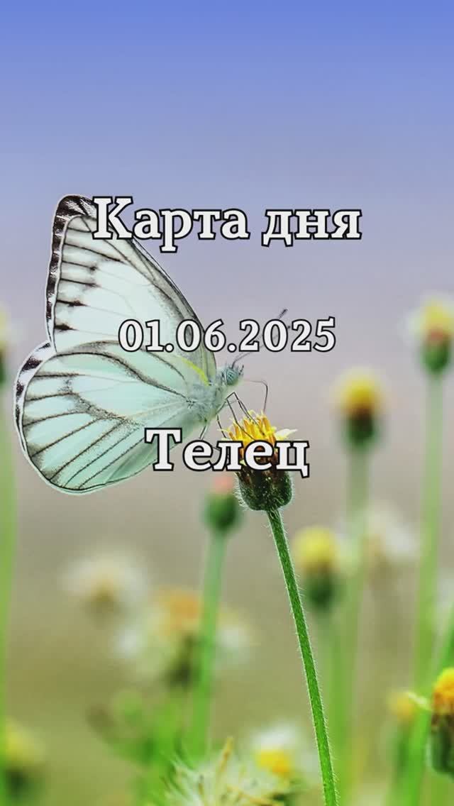 ✨Карта дня 01.06.2025✨ Телец смотреть онлайн