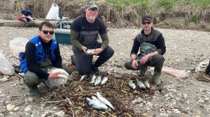 Рыбалка на Симу на острове Сахалин - моя любимая река