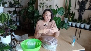 Минеральный грунт своими руками — аналог Lechuza-Pon за ко?