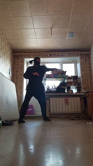 Крайне Северный Ниндзя - Прямой, Боковой (28.05.2025) Very Nordic Ninja - Straight, Side Kick #Kicks