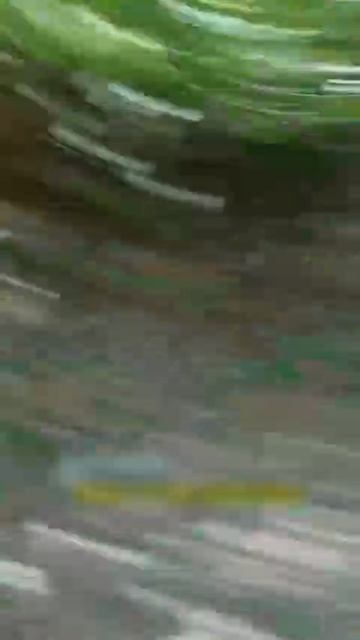 Реалии северных районов Сумской области. смотреть онлайн