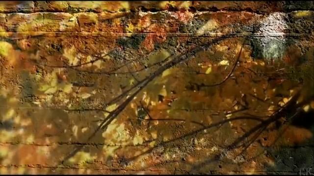 ЕСЛИ  Б  ЛИСТЬЯ  ЗНАТЬ МОГЛИ   АНДРЕЙ  КОНДАКОВ