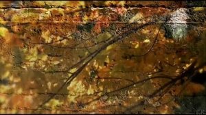 ЕСЛИ  Б  ЛИСТЬЯ  ЗНАТЬ МОГЛИ   АНДРЕЙ  КОНДАКОВ