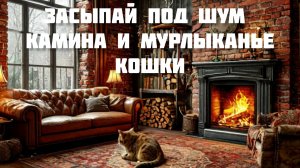 Расслабляющий шум камина и мурлыканье кошки для сна.