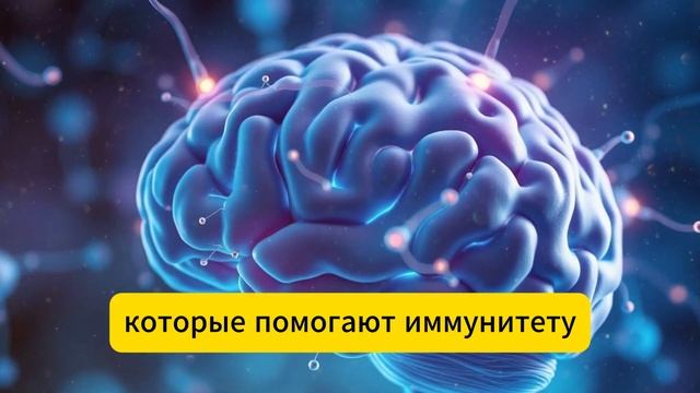 Здоровье пожилых: 4 сыра, которые вы ДОЛЖНЫ есть, и 4, ко? смотреть онлайн