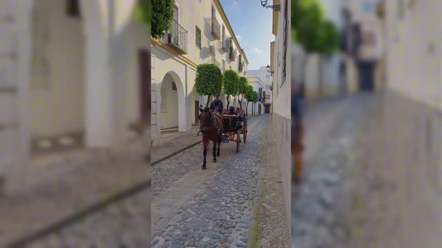 Херес, Испания (город, а не вино) смотреть онлайн