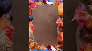 ВЫДАВЛИВАНИЕ ПРЫЩЕЙ ЧИСТКА КОЖИ 🔥🔥