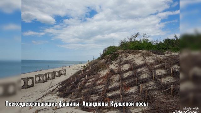 В "Террасе" и прогулка по парку отеля "Маяковский" у дюны Лесного на Куршской косе 28 мая 2025 смотреть онлайн