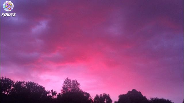 PBN! - Не боюсь (Текст песни)