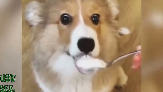 ПОДБОРКА ПРИКОЛОВ 2016 HD18+ смотреть онлайн