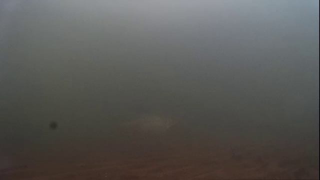 Подводное видео после ледостава 24.11.16г. смотреть онлайн