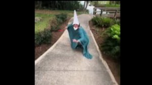 музыка гномов 1 час