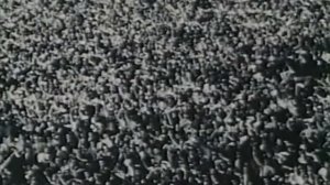 Стрельцов 2020