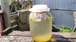 СУРИЦА - Солнечный напиток Богов!!!