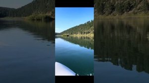 Китой-Ангара. Лодка Gladiator E300S с мотором Sea-Pro 9.9(15) лс