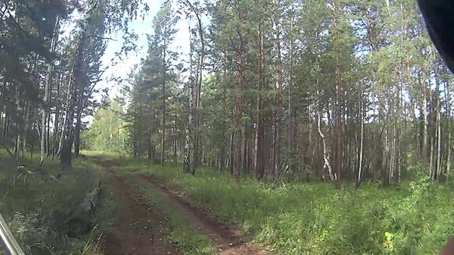 На глухаря. смотреть онлайн