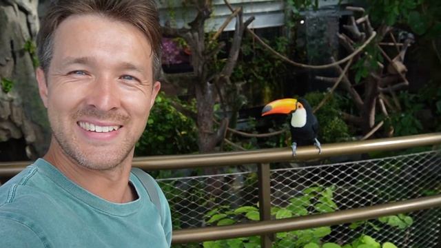 Отдых в Дубае: советы и лайфхаки для поездки в ОАЭ. Цен? смотреть онлайн