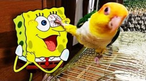 Мультики для детей. Яркие Мультики  . Детские мультики для малышей смотреть