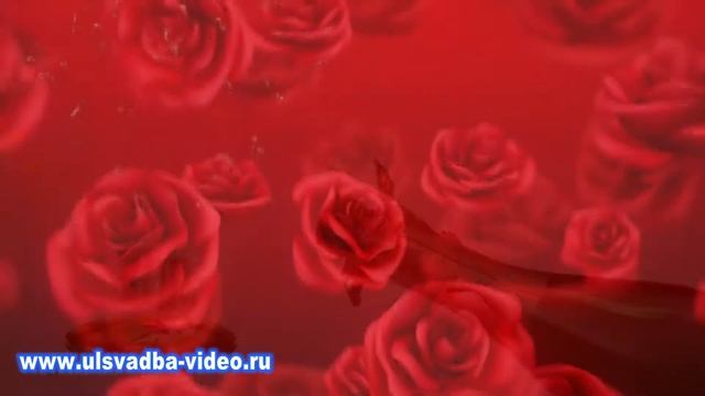 Футаж Свадебные звания родителей смотреть онлайн