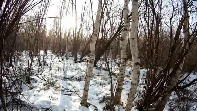 Металлокоп ДВ. Решили не ждать 2019г смотреть онлайн