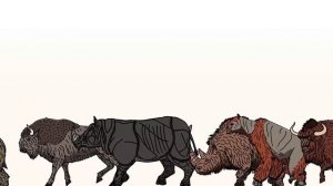 Вымершие животные кайнозойской эры