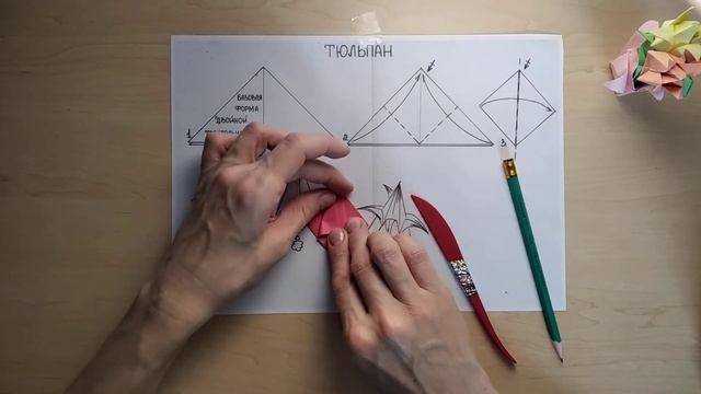 База ДВОЙНОЙ ТРЕУГОЛЬНИК Бутон тюльпана смотреть онлайн