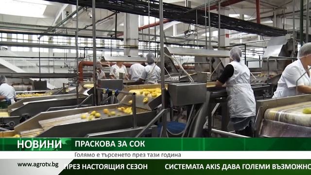 Голямо е търсенето на праскова за сок и нектар през на? смотреть онлайн