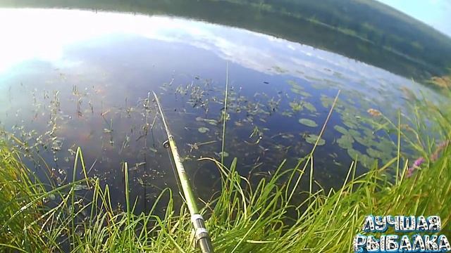 ОСЕННИЕ ОКУНЬКИ