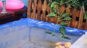 Вонь не умеет плавать и стесняется этого - Куклы Мама Барби в  бассейне