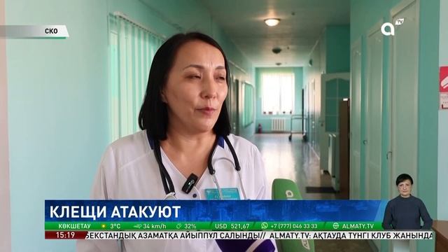 Клещи активизировались: в СКО от укуса опасных насеко?