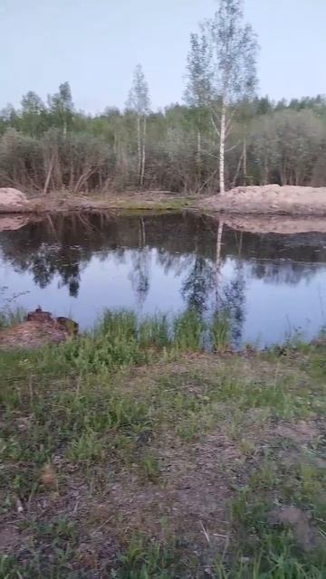 Пруд смотреть онлайн