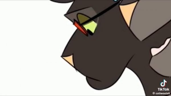 ПОДБОРКА WARRIOR CATS TIK TOK CHAPTER 1