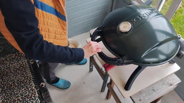 Садовый цент Дарвин. Стрижка можжевельника. Гнездо в к