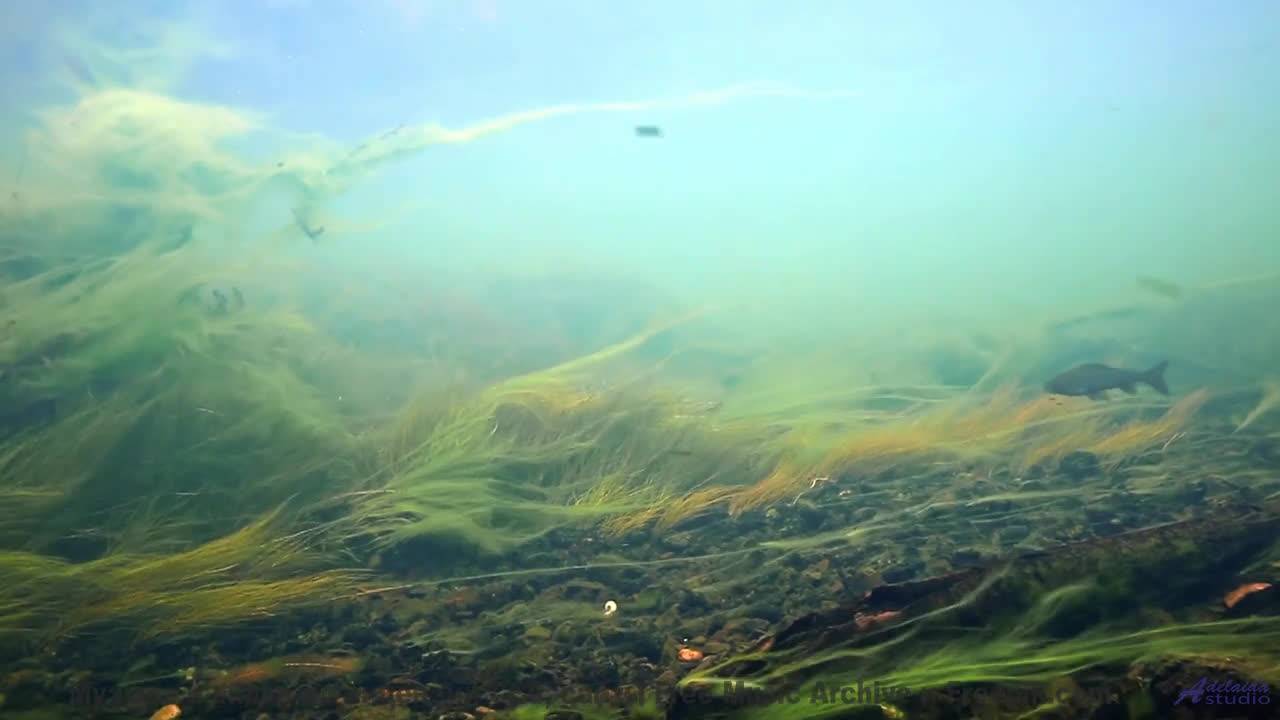 Горы, гром и ритм, который заставляет сердце колотиться! - Montevideo -- Duncan Reid And The Big Hea